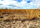Caos natural: el Gobierno bonaerense declaró la emergencia agropecuaria en Balcarce